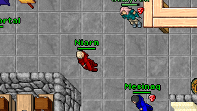 Niarn on screen