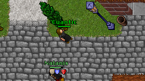 Cuantic on screen