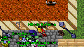 Milady Gatinha on screen