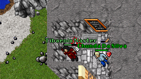 Tibaenix Master on screen
