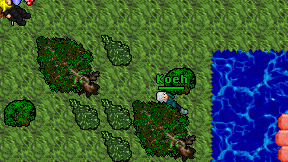 Koeh on screen