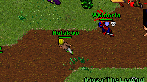Holakoo on screen