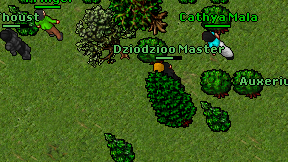 Dziodzioo Master on screen