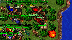 Bob'Psicotiko on screen