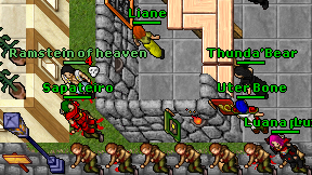 Sapateiro on screen