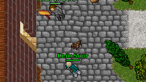 Keiw Scor on screen