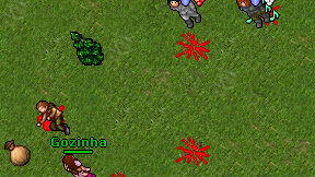 Gozinha on screen