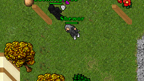 Shewor on screen