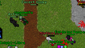 Cocert Junky on screen