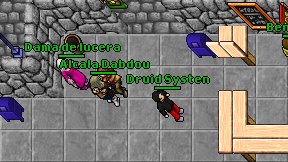 Druid Systen on screen