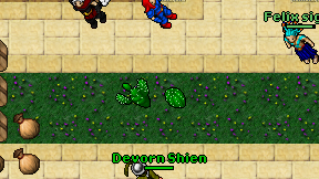 Devorn Shien on screen