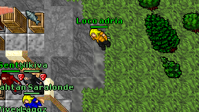 Loco adria on screen
