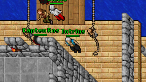 Intrius on screen