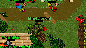Shado Druid on screen