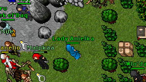 Lady Anielka on screen