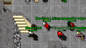 Ravine Leva on screen