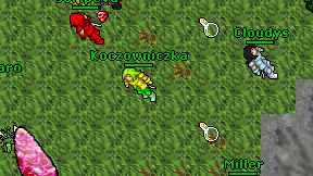 Koczowniczka on screen