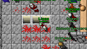 Lizox on screen