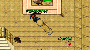 Punisch'er on screen