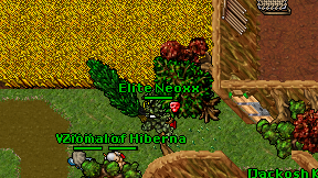 Elite Neoxx on screen