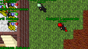 Knight Leonardo on screen