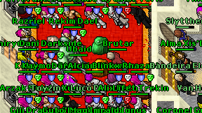 Brutar on screen