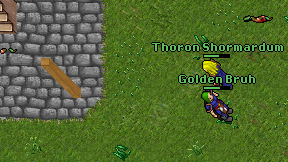 Golden Bruh on screen