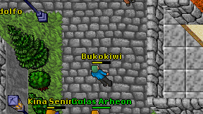 Bukokiwi on screen