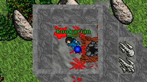 Rookarian on screen