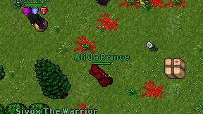 Ali da Prince on screen