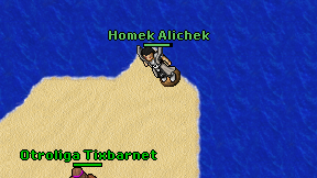 Homek Alichek on screen
