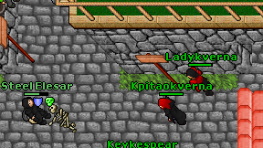 Ladykverna on screen