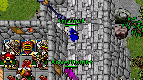 Irizarek on screen