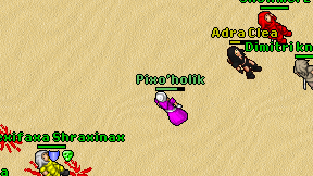 Pixo'holik on screen