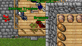 Brunnie on screen