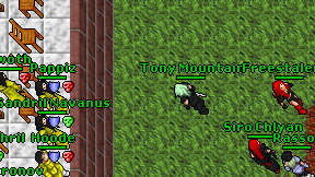 Tony Mountain on screen