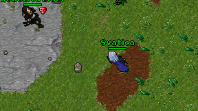 Svatica on screen