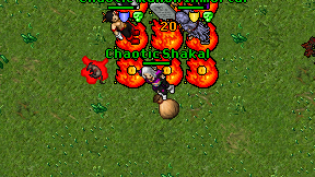 Chaotic Shakal on screen