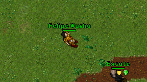 Felipe Wushu on screen