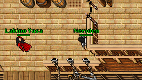 Neriden on screen