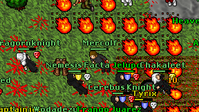Mercolf on screen