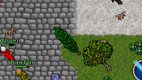 Antligen on screen