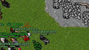 Don Valedor on screen