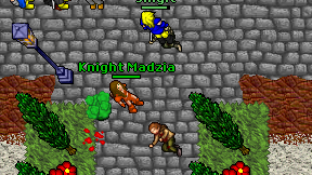 Knight Madzia on screen