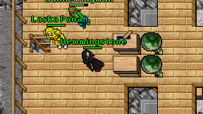 Hemmingstone on screen