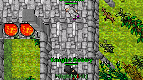 Knight Bobby on screen