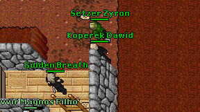 Koperek Dawid on screen