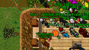 Todierim on screen