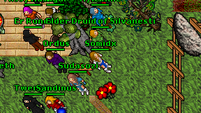 Somidx on screen