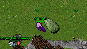 Shinek on screen